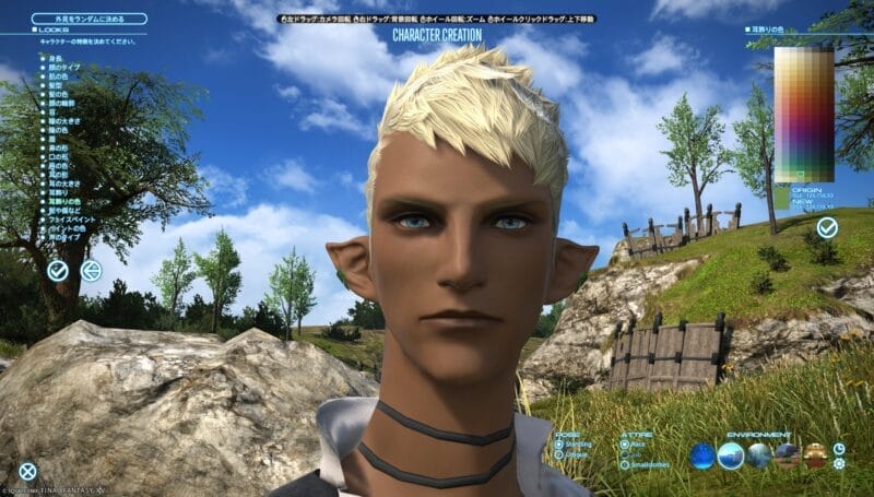 FF14 美容師で変更できる箇所　エレゼン　フォレスター　男性　耳飾り　染色可能