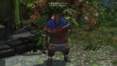 FF14 FATE バイカラージェム交換場所 ヤクテル樹海 NPCラルルック