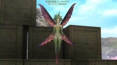 FF14 FATE バイカラージェム納品証 交換場所 イルメグ NPCスール=ラド
