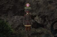 FATE ハイブリッジの死闘 東ザナラーン NPC「銅刃団の衛兵」