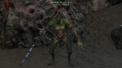 FF14 FATE バイカラージェム納品証 交換場所 テンペスト NPCゴゥスィーオーン