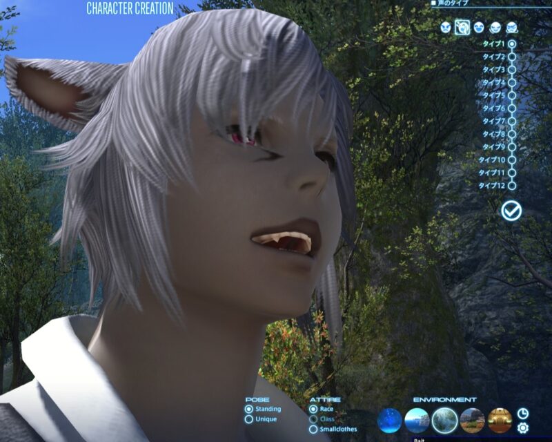 FF14　猫の牙のような八重歯　ミコッテ　ムーンキーバー　男性