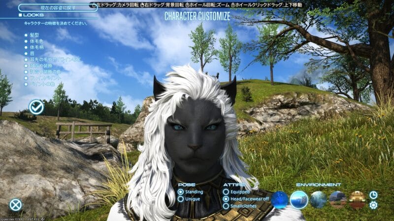 FF14 美容師で変更できる箇所　ロスガル　ロスト　女性